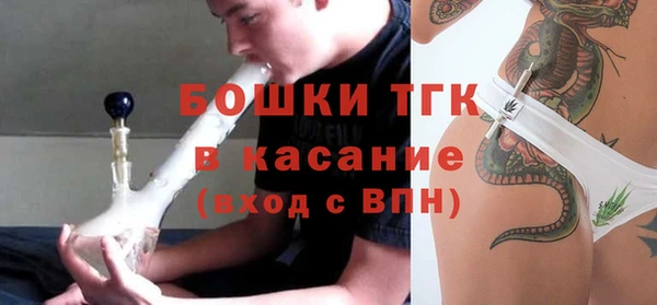 ешки Аркадак