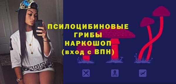 ешки Аркадак