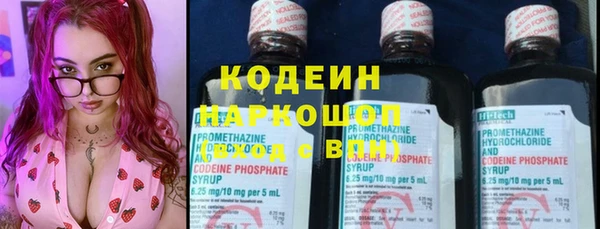 ешки Аркадак