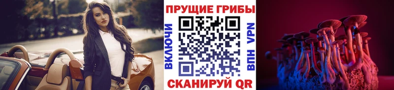 Галлюциногенные грибы Psilocybine cubensis  сколько стоит  Богородицк 
